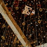 Cover image for Amelia Gene's