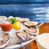 Cover image for Hudson House - River Oaks