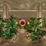 Cover image for Events at The Tampa EDITION