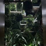 Cover image for SAGO