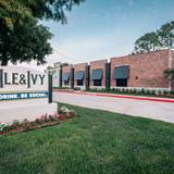 Cover image for Ale & Ivy