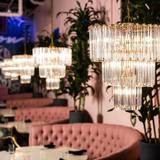 Cover image for XOXO Dining Room