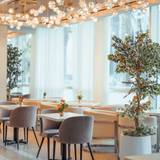 Cover image for Sweet Maple