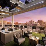 Cover image for Otopia Rooftop