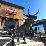 Cover image for PBR Cowboy Bar + Smokehouse