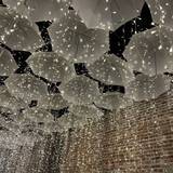 Cover image for The Down Pour