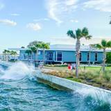 Cover image for Doc Ford's Rum Bar and Grille St Pete Pier