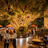 Cover image for Bar Gusto