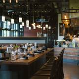 Cover image for Forge and Vine