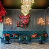 Cover image for Tacos del Cartel - New Orleans