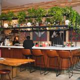 Cover image for The Lobby Bar & Garden