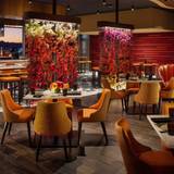 Cover image for Tash