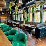 Cover image for Amazonia