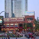 Cover image for Cardinals Nation