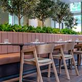 Cover image for Canopy Kitchen & Courtyard