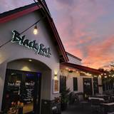 Cover image for Black Rock Bar & Grill - Tampa