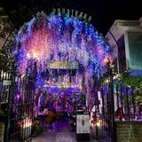 Cover image for Queen Violet Weho