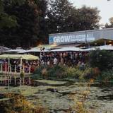 Cover image for Grow, Hackney