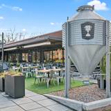 Cover image for Trophy Brewing & Pizza