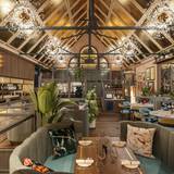 Cover image for Piccolino - Chichester