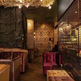 Cover image for Shelter Cocktail Bar