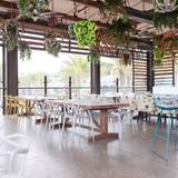 Cover image for Cucina Enoteca - Del Mar