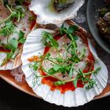 Cover image for Omakase Por Favor - Sacramento