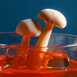Cover image for Bar Doko