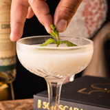 Cover image for Bahia Hollywood