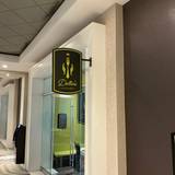 Cover image for Delta's Kitchen