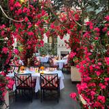 Cover image for The Garden at Corinthia London