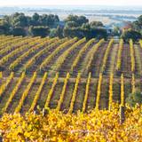 An Evening with Bannockburn Vineyards foto