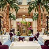 Cover image for The Winter Garden