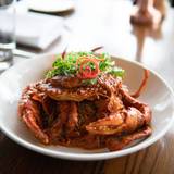 Crab night foto