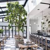 Cover image for BiXi Beer