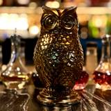 Cover image for The Bronze Owl