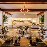 Cover image for Olive and Hay