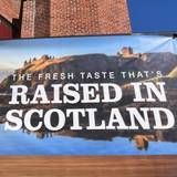 Cover image for The Haven