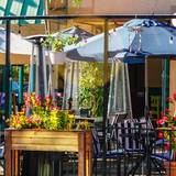 Cover image for Margaritas RWC