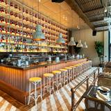 Cover image for Negroni Brickell