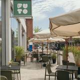 Cover image for Ladyfish