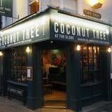 Cover image for The Coconut Tree - Oxford