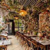 Cover image for Dalloway Terrace