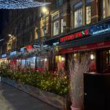 Cover image for Little Italy