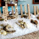 Cover image for Eventide Oyster