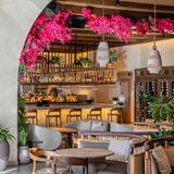 Cover image for AVA MediterrAegean Winter Park