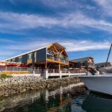 Cover image for Jimmy's Famous American Tavern