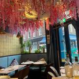 Cover image for Titu of Mayfair