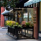 Cover image for Alligator Soul