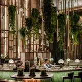 Cover image for Meadowrue